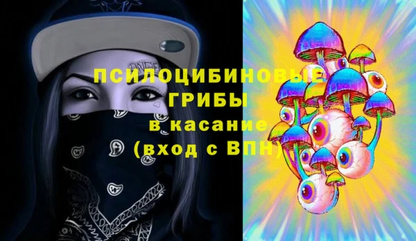 СК Арсеньев