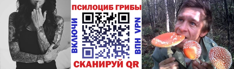Галлюциногенные грибы прущие грибы  где продают   гидра как зайти  Льгов 